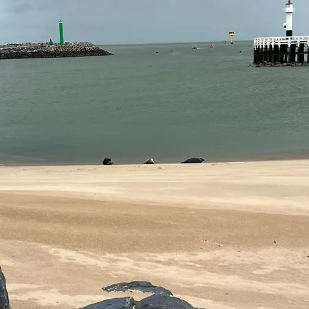 Apartament Bonelly Ostenda