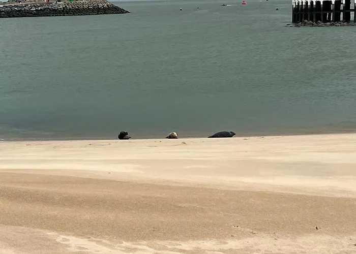 Apartamento Bonelly Ostend